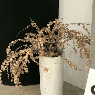 达坂城福瑞交流群